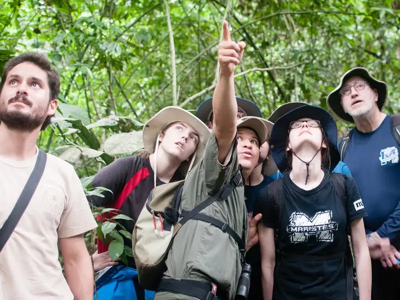 A guide points out wildlife to a group in the forest