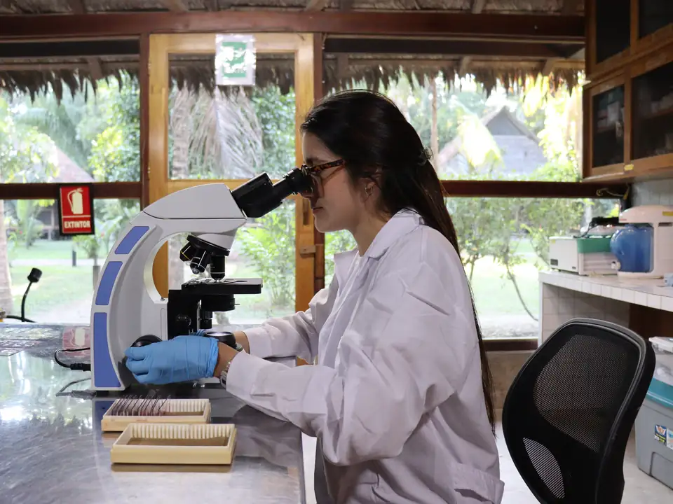 A researcher at a microscope in the GreenLab