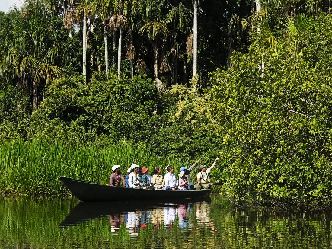 A group paddles a canoe on an oxbow lake fringed with palms