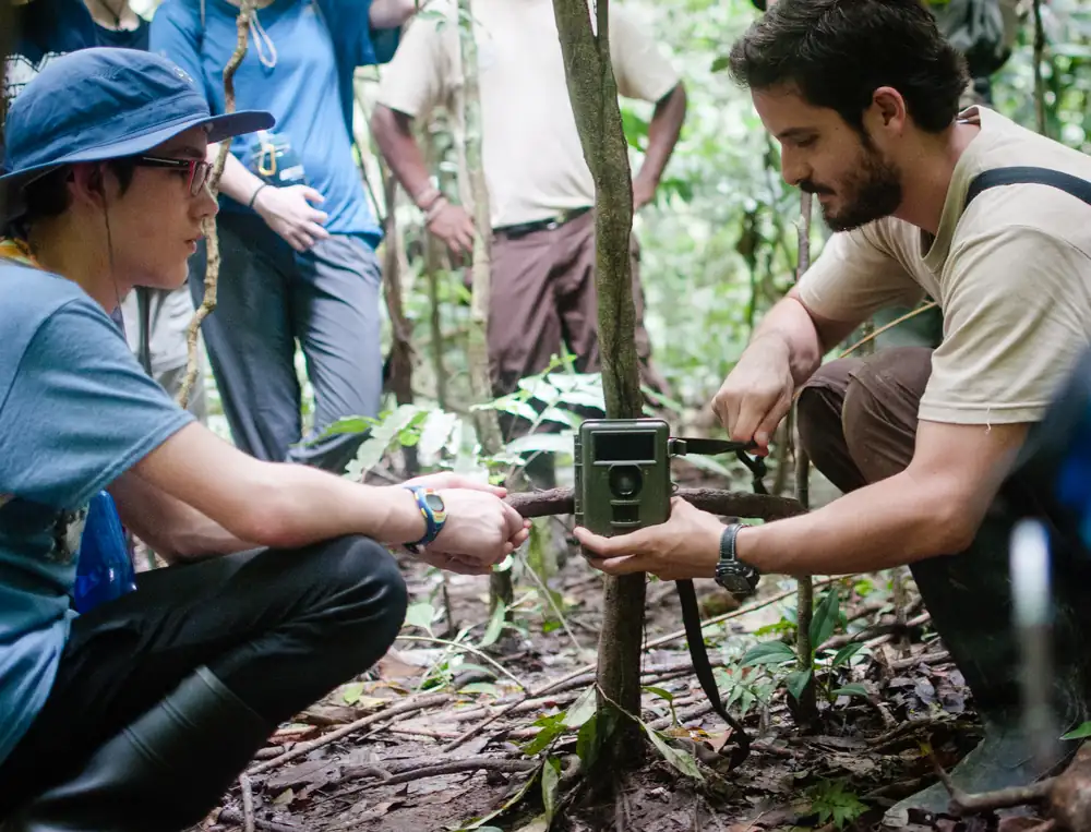 Students and staff installing a camera trap on a tree