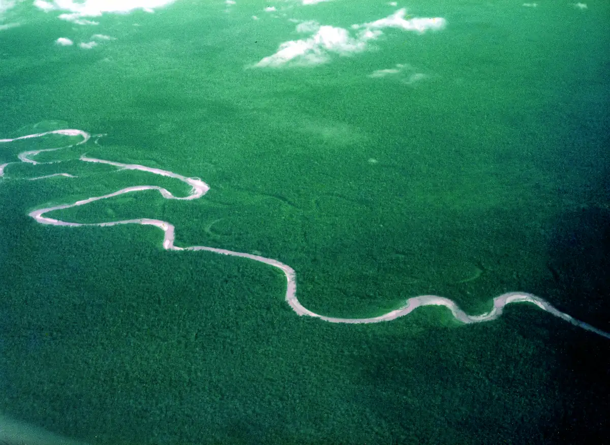 A river meandering through the lowland forest, seen from the air