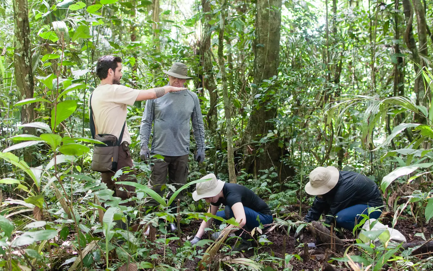 The team plants native palms in the Palmetum