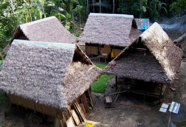 Thatched buildings of Casa ITA in the forest