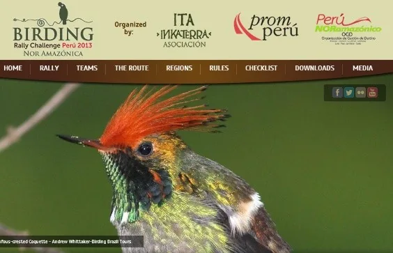 Website of the 2013 Birding Rally Challenge Peru, organized by ITA