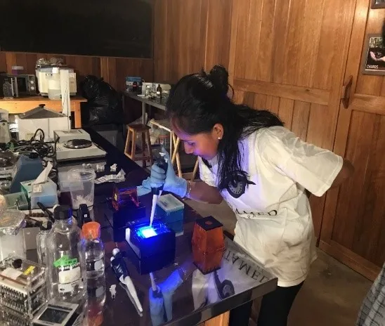 A researcher working with DNA samples